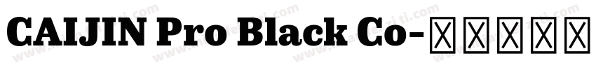 CAIJIN Pro Black Co字体转换